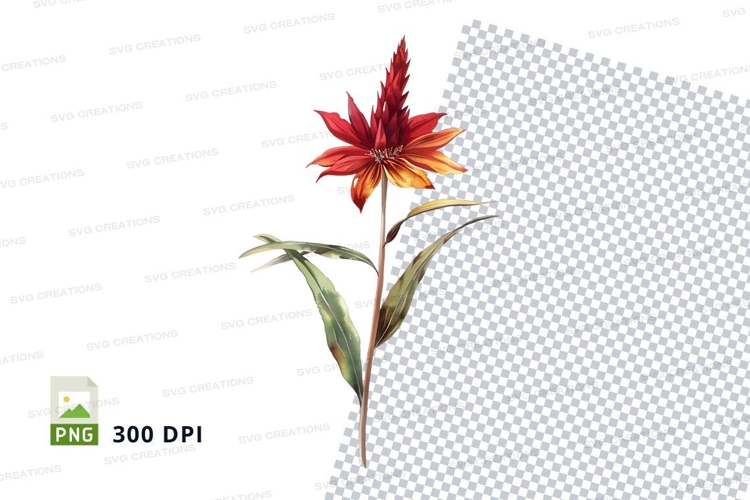 Red Flower Png Image 4