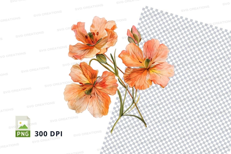 Delicate orange blossoms clipart png