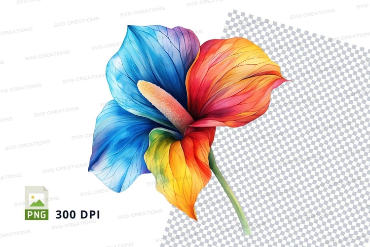 Rainbow Illustration Image 15