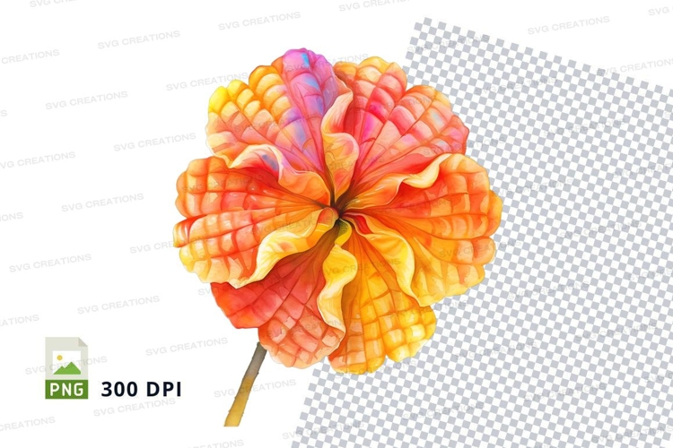 Flower Texture Image 17