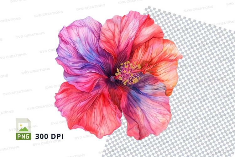 Hibiscus Flower Clipart Image 23