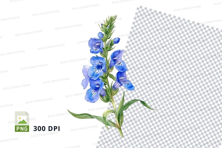 Wildflower Illustration Image 20