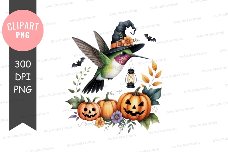 Hummingbird Illustration Image 2