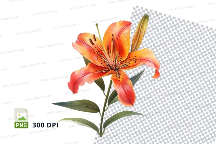 Orange Flower Png Image 23