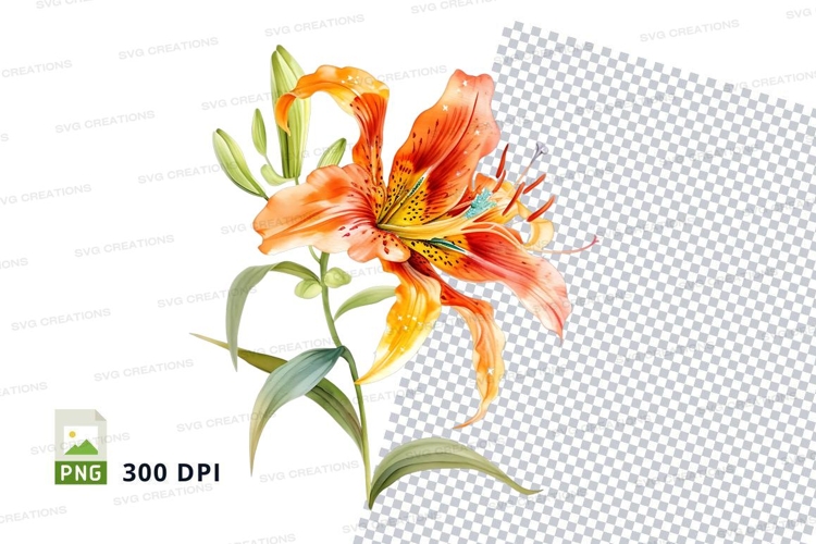 Orange Flower Png Image 21