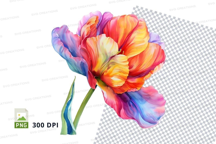 Colorful tulip clipart png
