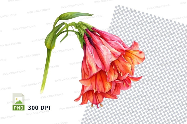 Nature Illustration Image 8