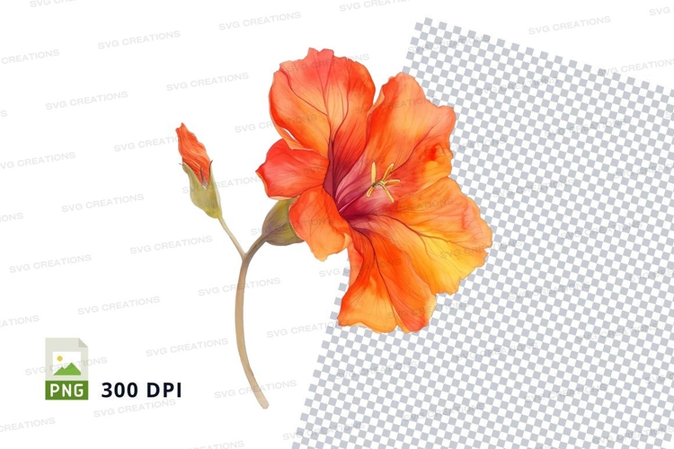 Orange Flower Png Image 24