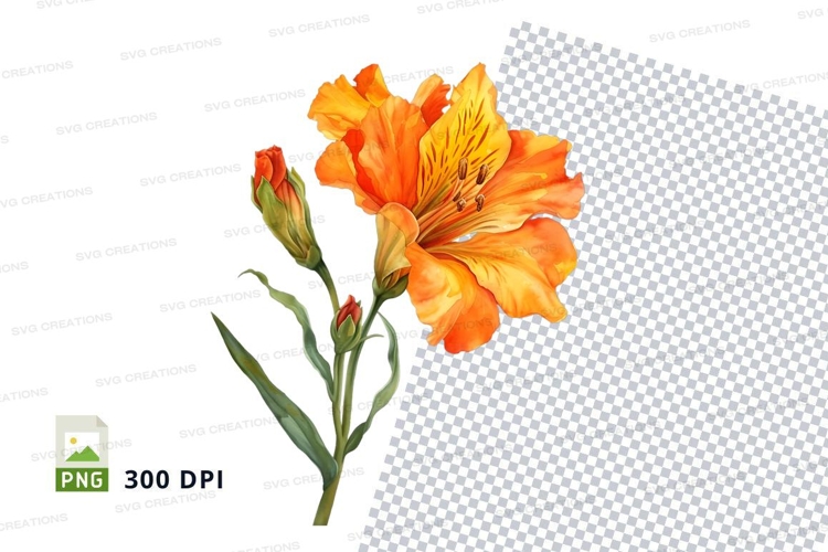 Transparent Background Flower Clipart Image 21
