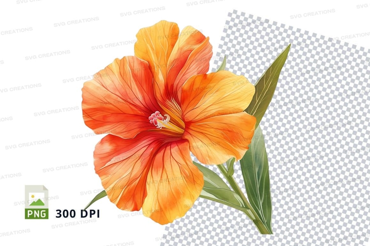 Hibiscus Flower Clipart Image 21