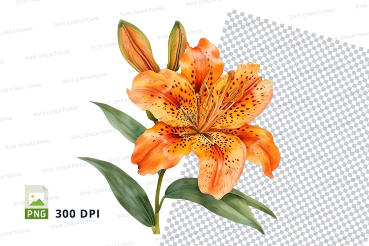 Nature Illustration Image 11