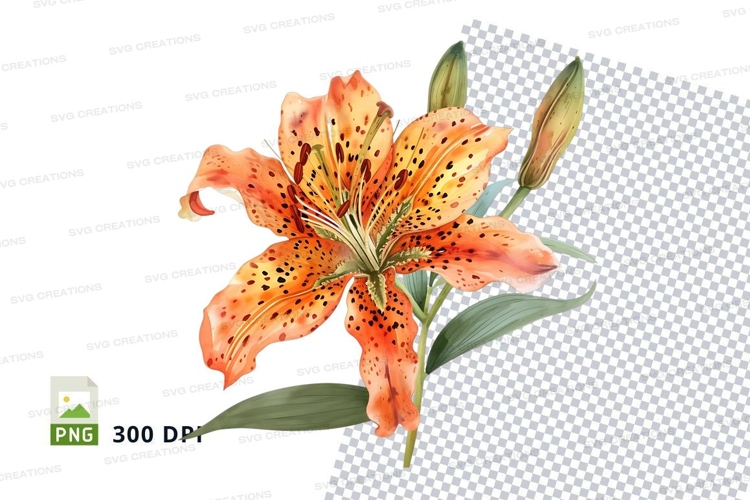 Transparent Background Flower Clipart Image 19