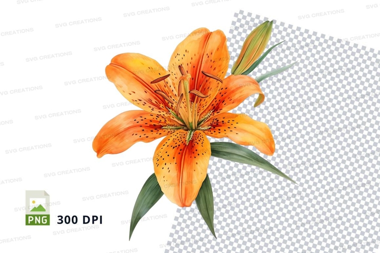 Transparent Background Flower Clipart Image 18
