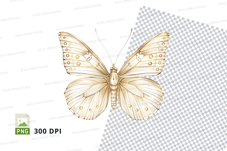 Transparent Background Butterfly Clipart Image 17