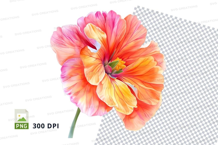 Poppy Clipart Image 11