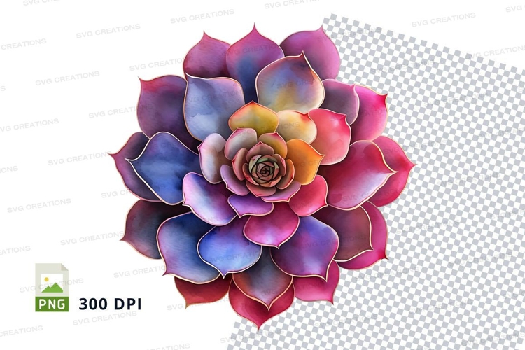 Succulent Png Image 3