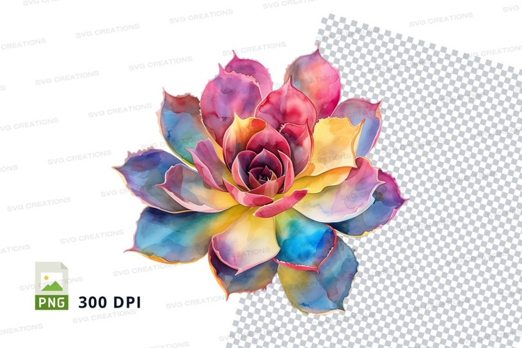 Colorful succulent clipart png