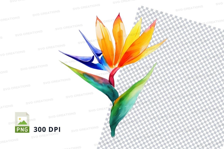 Transparent Background Flower Clipart Image 13