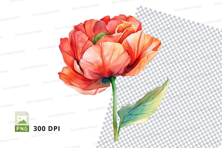 Vibrant red poppy flower clipart png