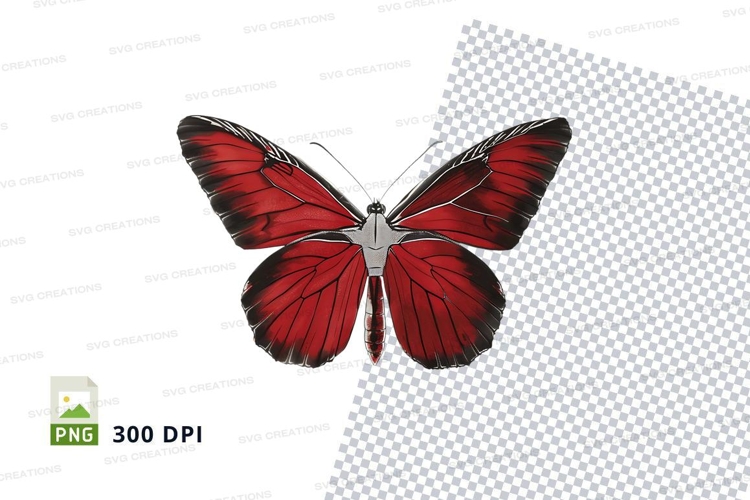Insect Clipart Image 8