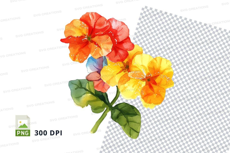 Vibrant hibiscus flowers