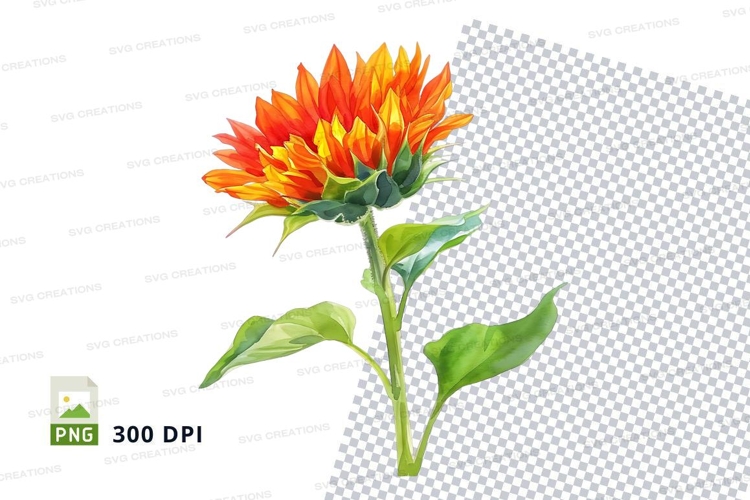 Transparent Background Flower Clipart Image 8