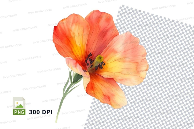 Nature Illustration Image 9