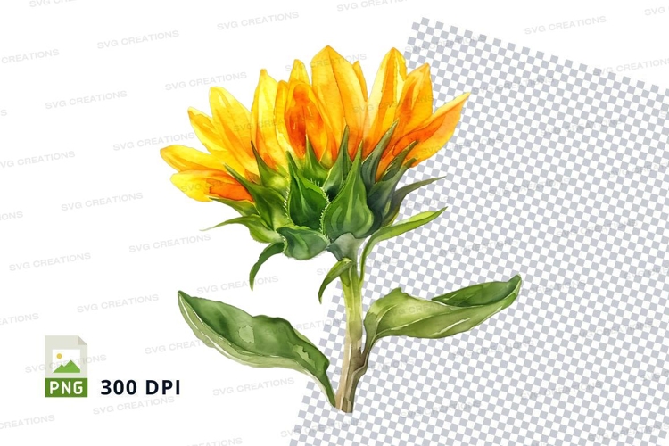 Sunflower Clipart Image 11