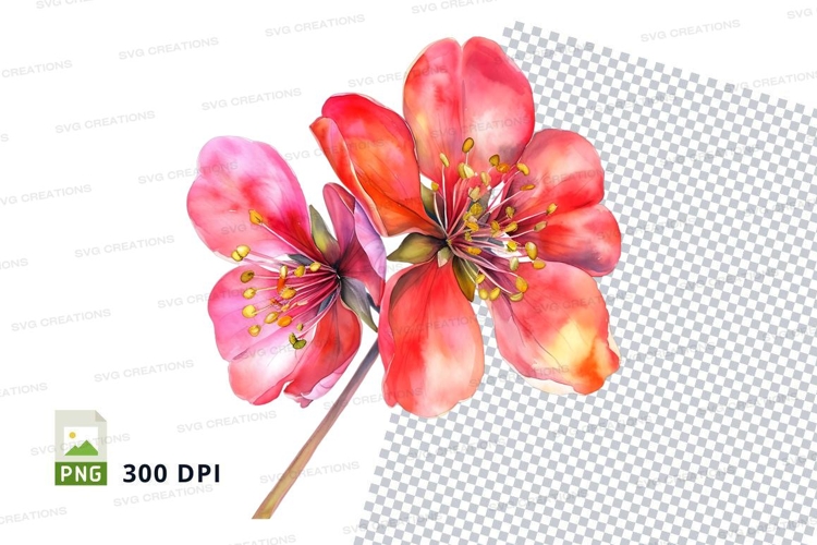 Cherry Illustration Image 21