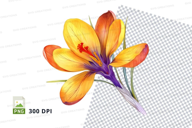 Orange Flower Png Image 20