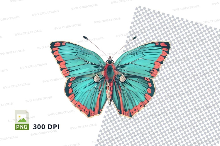 Transparent Background Butterfly Clipart Image 15