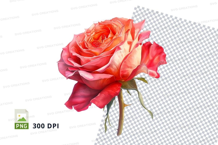 Pink Rose Clipart Image 6