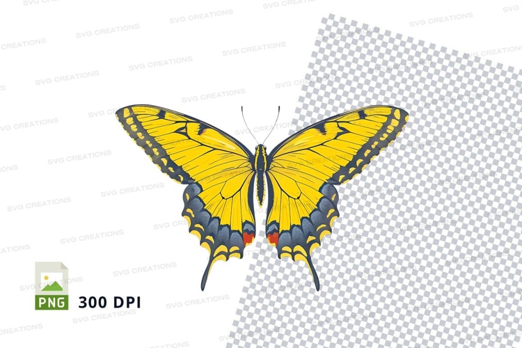 Insect Clipart Image 20