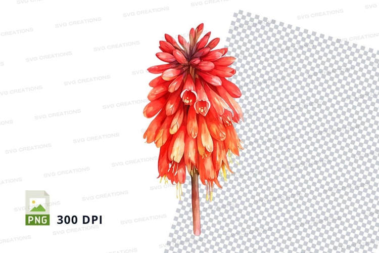 Red Flower Png Image 24