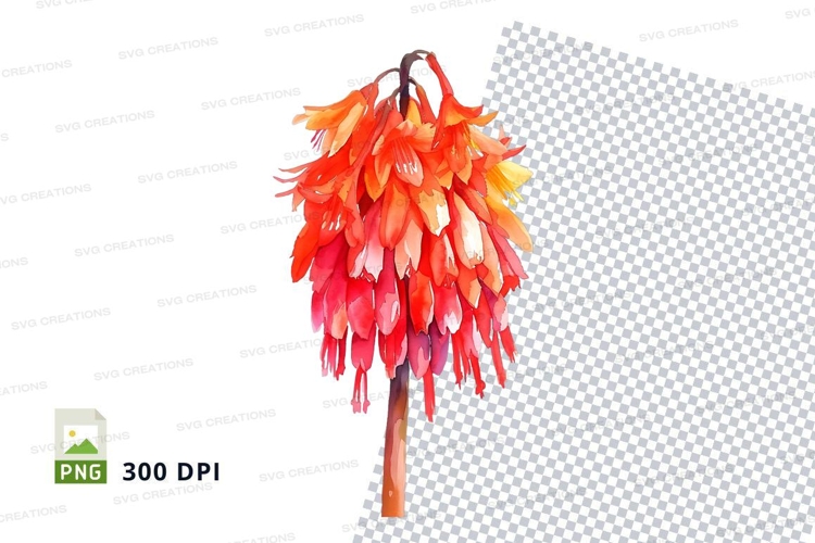 Nature Illustration Image 24