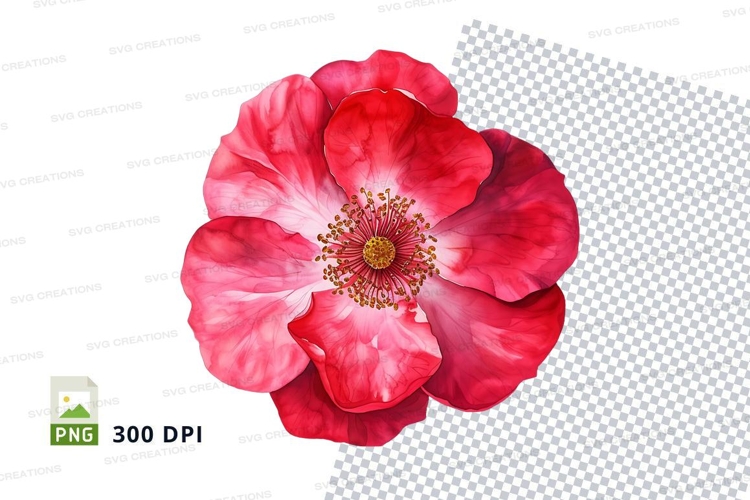 Vibrant pink flower clipart png