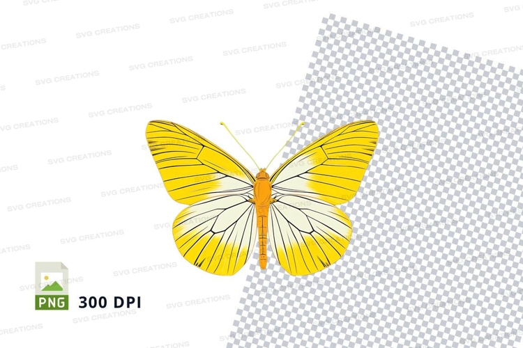 Yellow butterfly clipart png