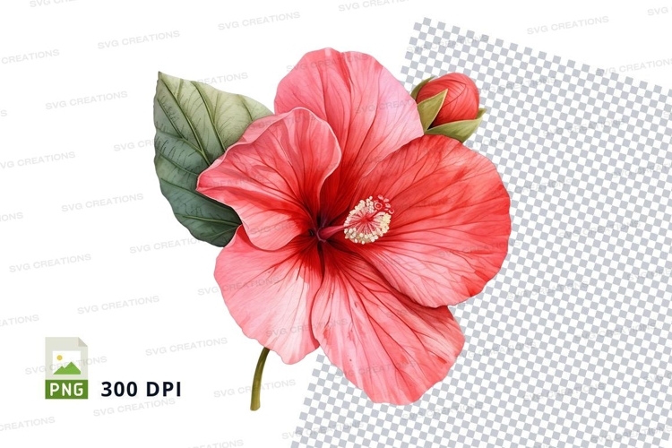 Hibiscus Flower Clipart Image 16