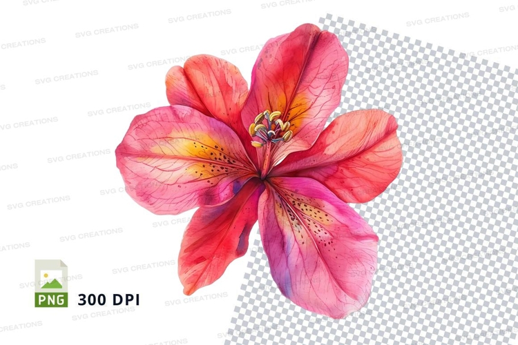 Pink Flower Png
