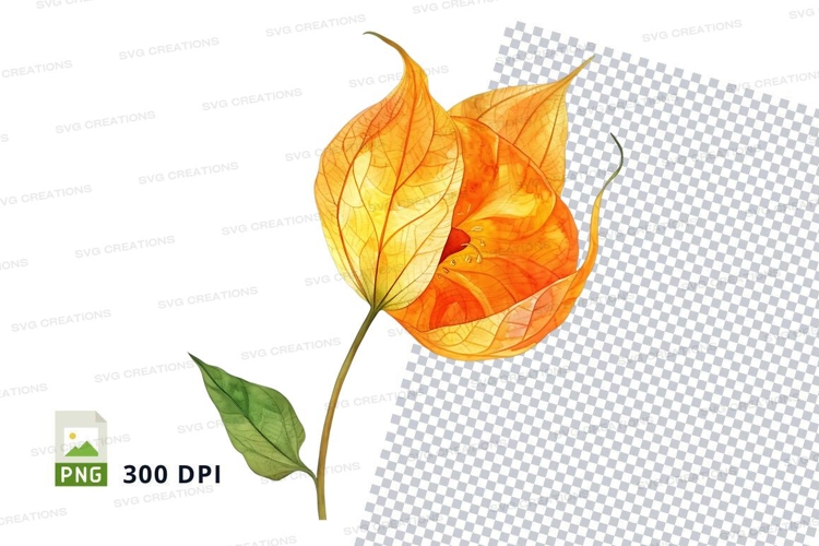 Leaf Clipart Image 10