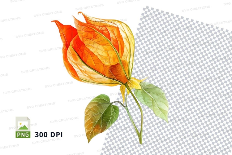 Orange Flower Png Image 7