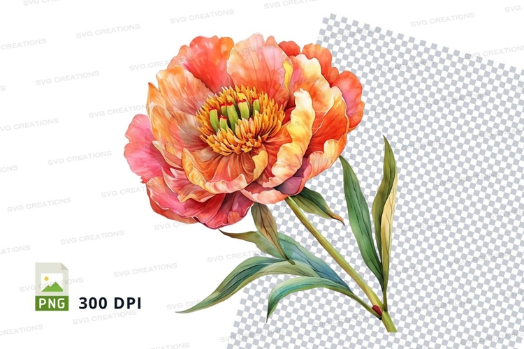 Peony Clipart Image 11