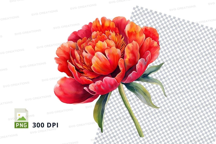 Peony Clipart