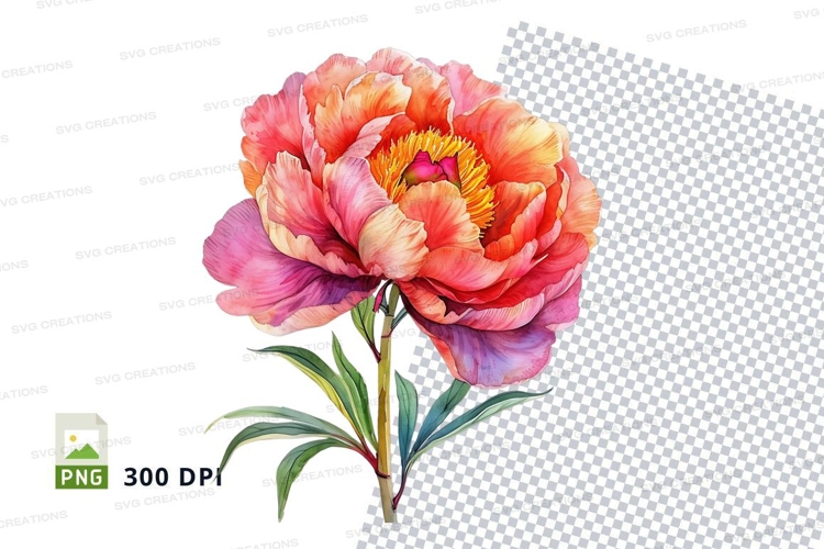 Peony Clipart Image 10