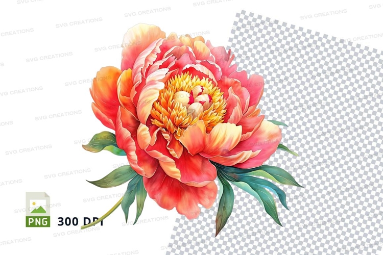 Peony Clipart Image 9