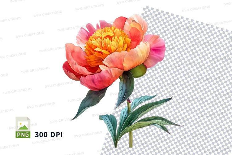 Vibrant peony flower clipart png