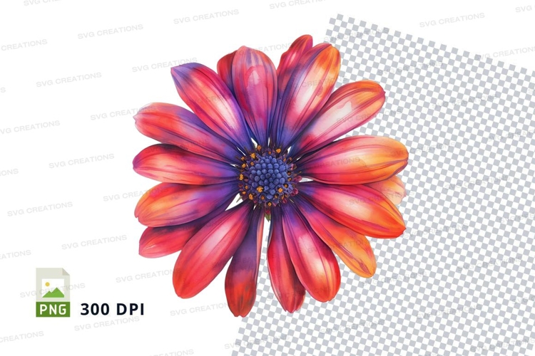 Flower Daisy Clipart