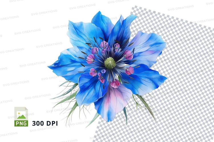 Colorful flowers clipart png
