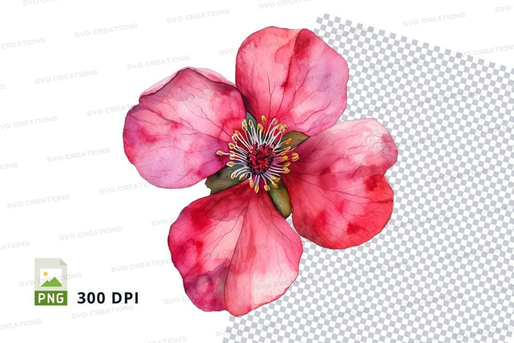Pink Flower Png Image 24