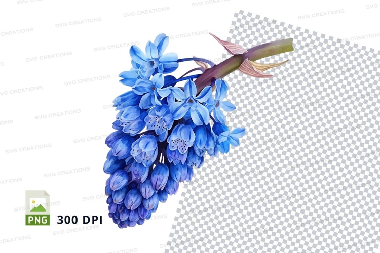 Transparent Background Flower Clipart Image 23